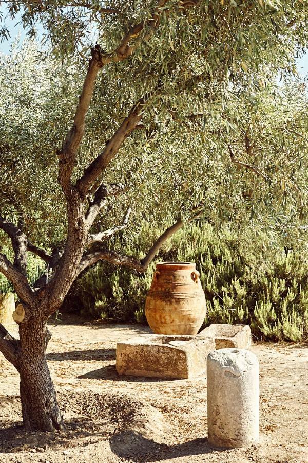 Nikolaou Art Residence Aegina ภายนอก รูปภาพ