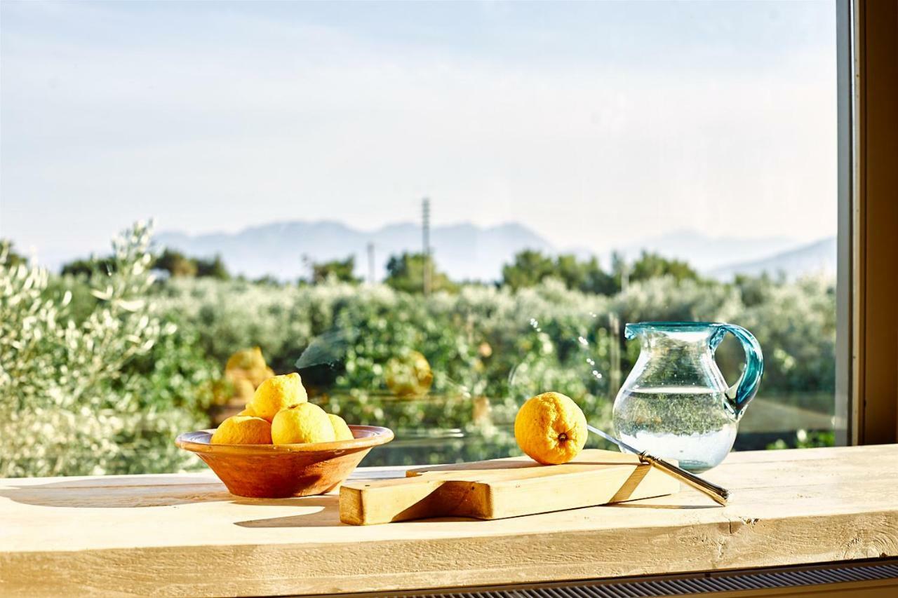 Nikolaou Art Residence Aegina ภายนอก รูปภาพ