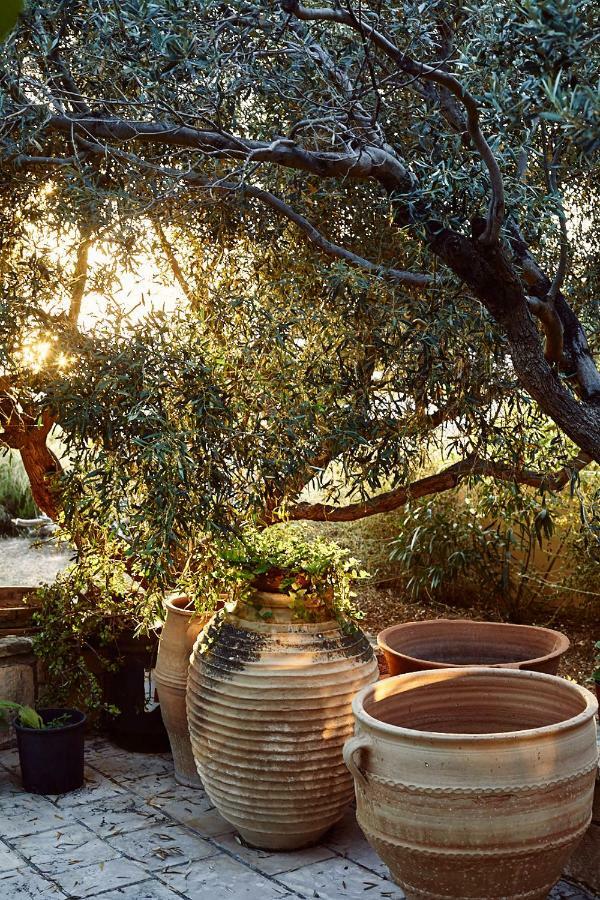 Nikolaou Art Residence Aegina ภายนอก รูปภาพ